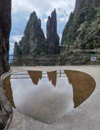 莽山森林公園：自然與寧靜交織的綠色天堂