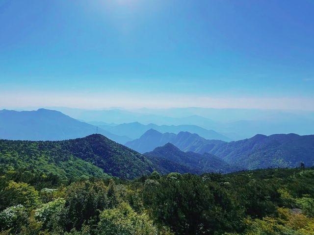 踏入黃茅尖原始森林，邂逅現實版綠野仙蹤！