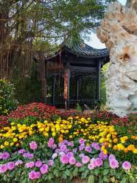 高州嶺南鳳凰園！？看藝術花展！