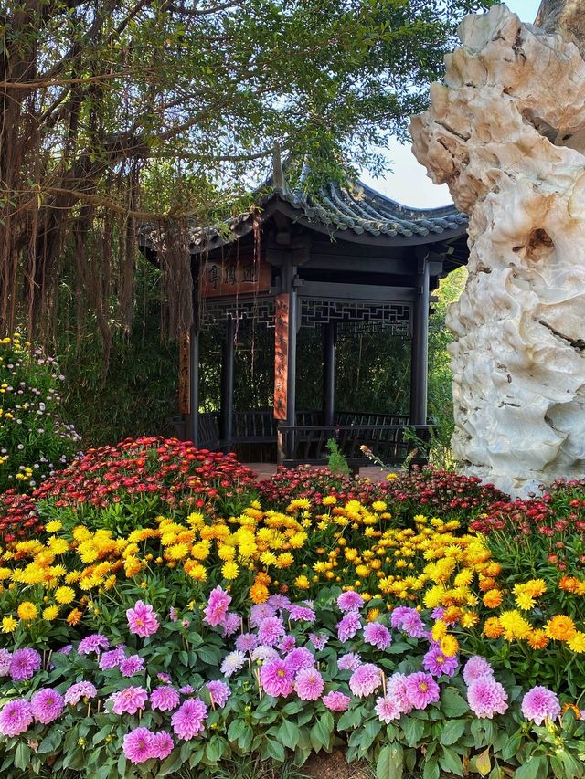 高州嶺南鳳凰園！？看藝術花展！