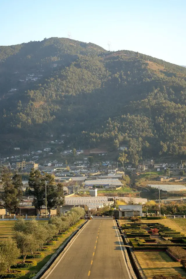 연초 시창은 정말 활기차고, 따뜻한 겨울 시창으로 오세요