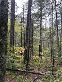 過年暢遊安圖 3日玩轉美景