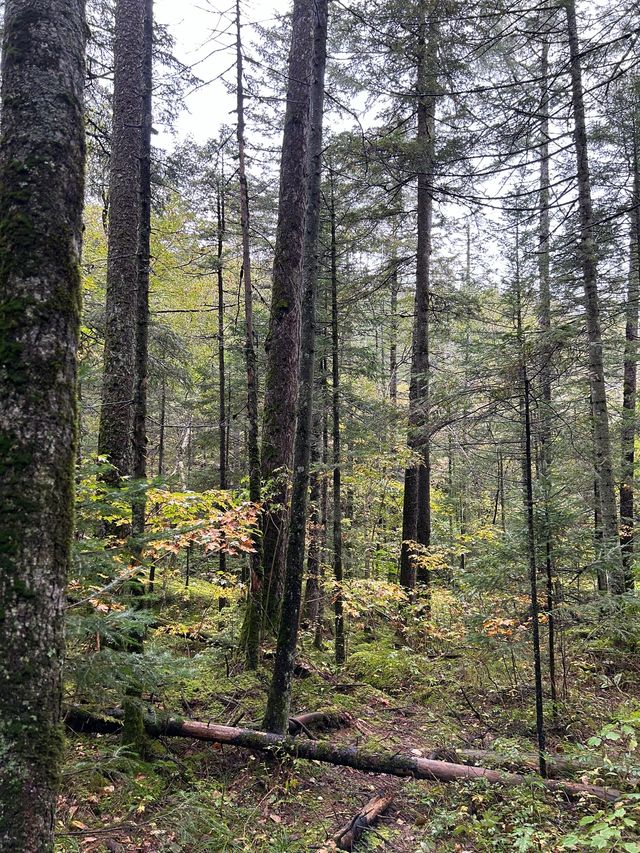 過年暢遊安圖 3日玩轉美景 過年暢遊安圖 3日玩轉美景