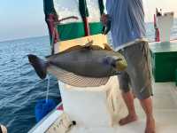 Maldives Velavaru Island Experience Sharing