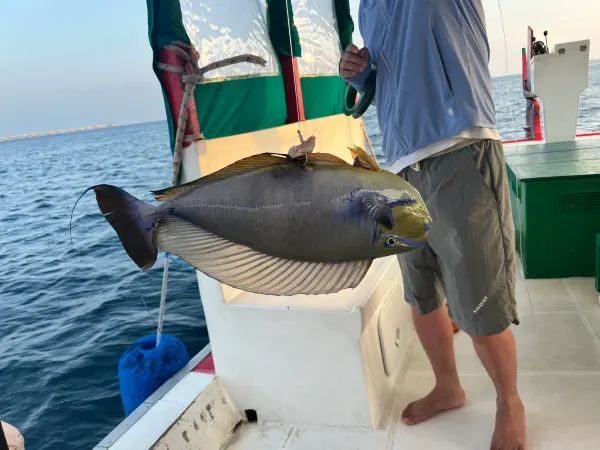 Maldives Velavaru Island Experience Sharing