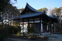 走進奈良藥師寺