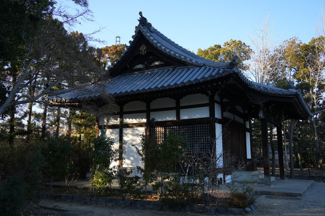 走進奈良藥師寺