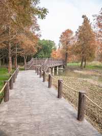 青西郊野公園