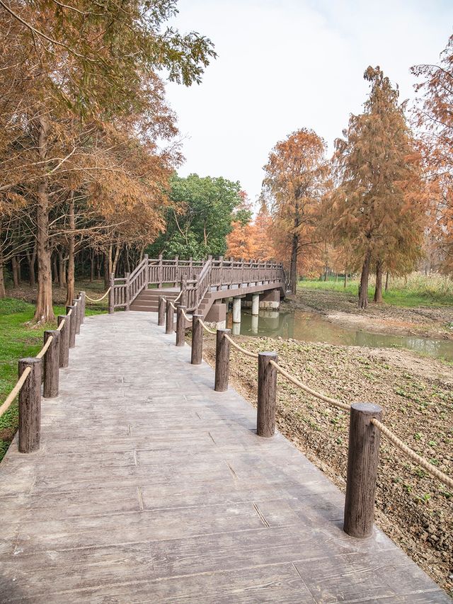 青西郊野公園