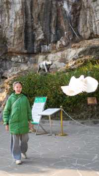韶關旅遊免門票｜馬壩人遺址