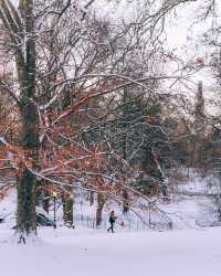冬日中央公園：邂逅紐約的夢幻雪景
