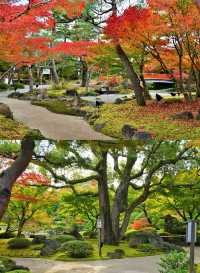 日本•島根縣｜由志園、足立美術館