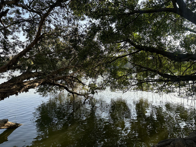 揭陽西湖公園