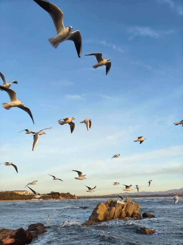 春節旅遊︱秦皇島感受年味