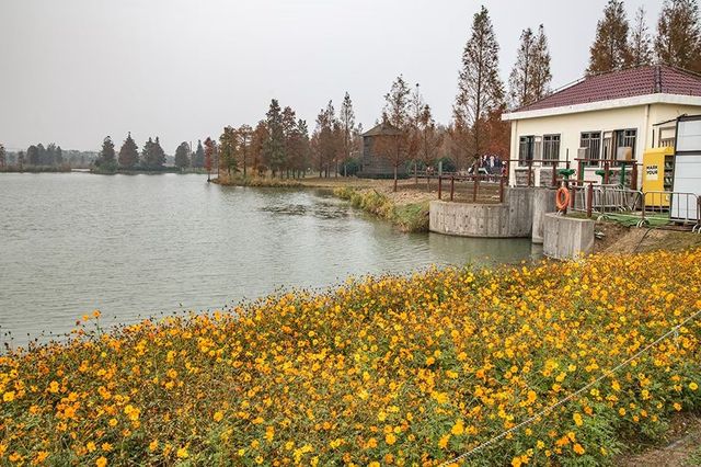 綠色濕地青西郊野公園