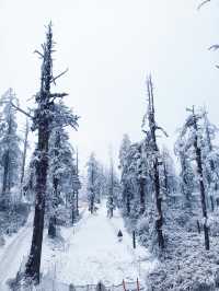 瓦屋山不止有雪