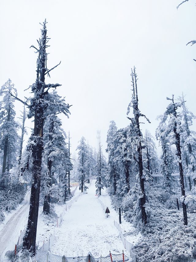 瓦屋山不止有雪