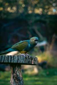 London Zoo is a great place to visit