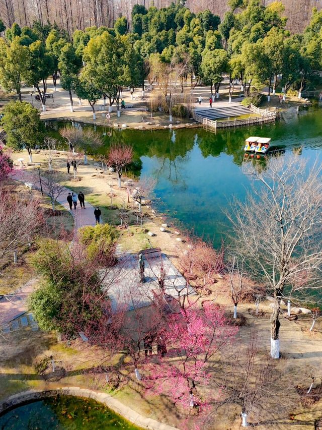 武漢2-5月賞花攻略！是春和景明
