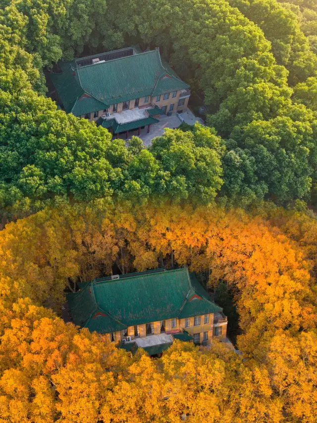 Winter Vacation in Shanghai, Nanjing, and Jiaxing: The Ultimate Guide