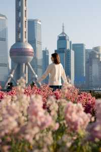 2.10實拍！北外灘的浪漫花海美哭啦