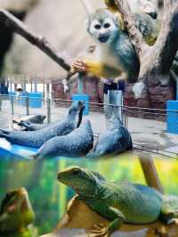福州周邊遊，全家一齊到永泰歐樂堡親子遊