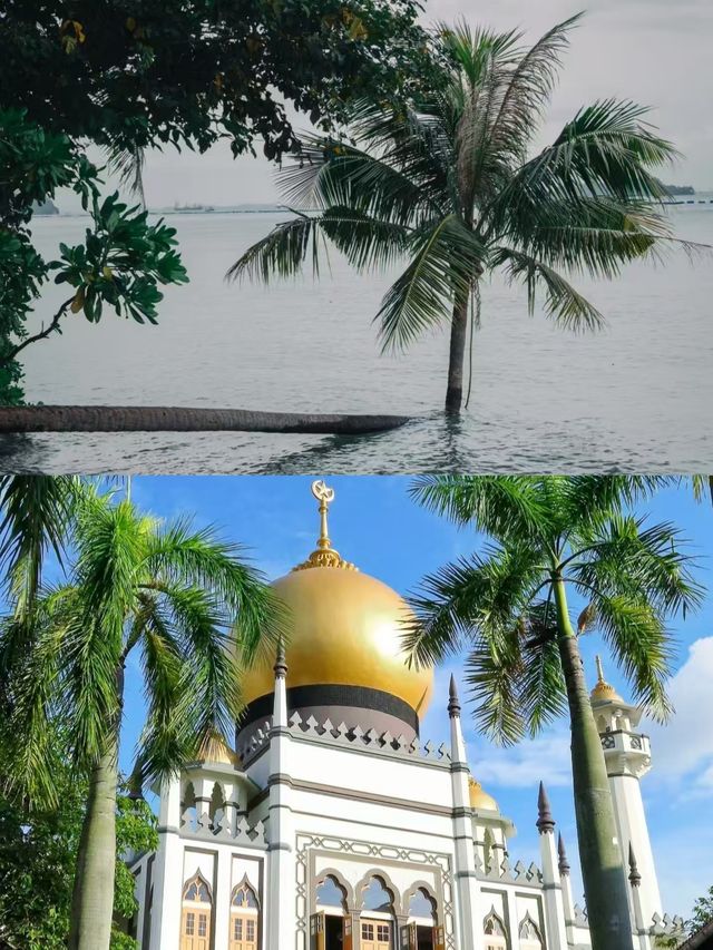 新加坡之旅已完成，讓我說些實話。