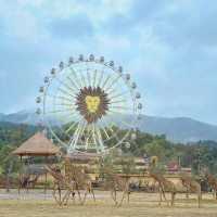 "你絕對沒想到，清遠長隆動物園竟然藏着這些秘密！"
