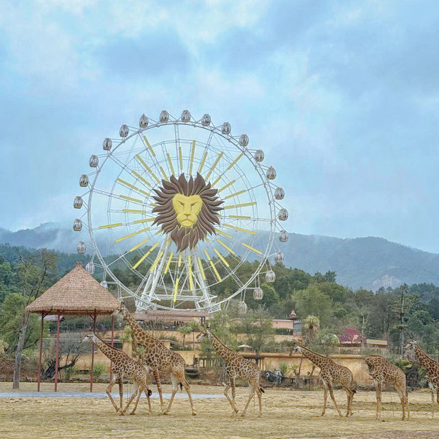 "你絕對沒想到，清遠長隆動物園竟然藏着這些秘密！"