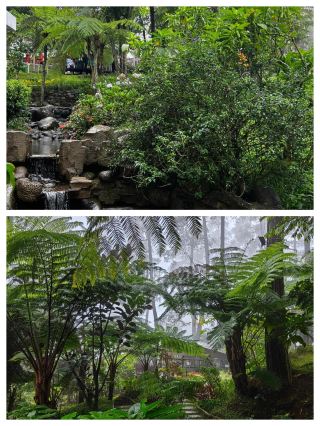 Explore the Dreamy City of Bandung
