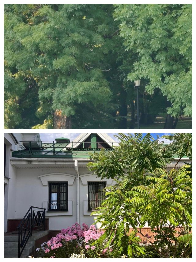 探索白俄羅斯心臟：夢幻之旅，從明斯克啟程