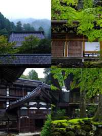 探秘福井：日本小眾旅行的夢幻之境