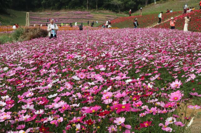 恩上濕地公園