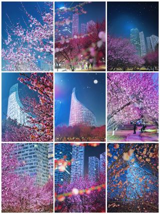 合肥夜梅炸裂出片！綠軸公園真的驚艷到我啦！