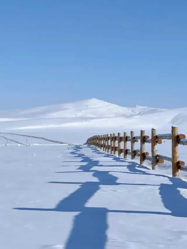"Off-Season Hulunbuir: A Winter Fairytale Journey"