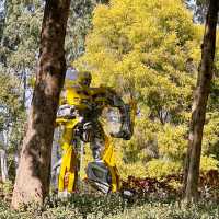 在忠侖公園賞花、閒談、散步、遛娃