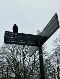 Hyde’s park London 