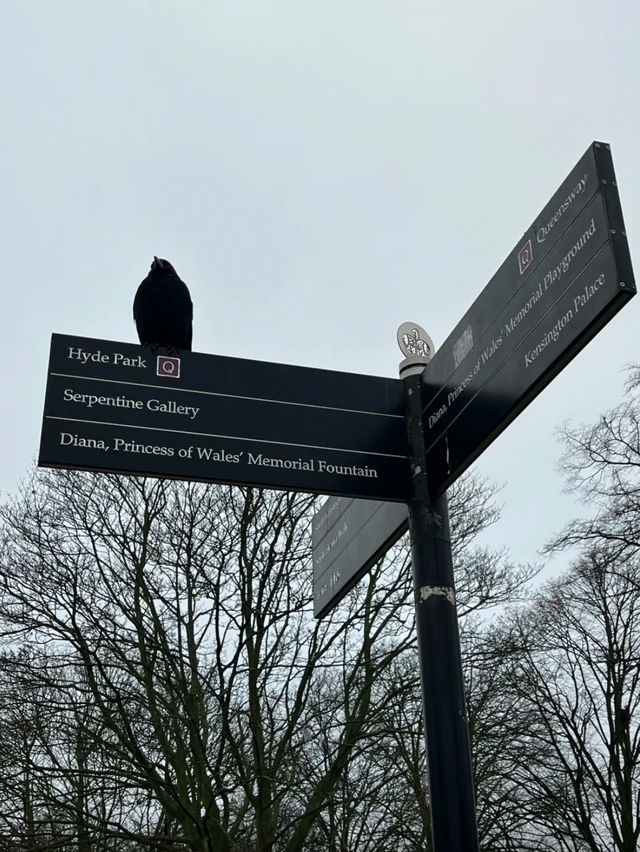Hyde’s park London 