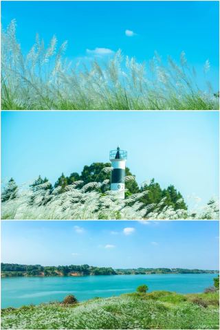 99% of Changsha residents don't know about Wanzhou Island, a fantastic winter camping spot!