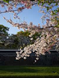 6日暢遊日本 盡享溫泉之旅