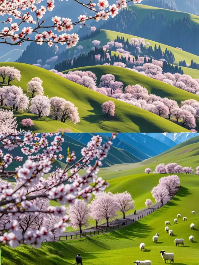 Northern Xinjiang 12-Day Grand Tour (Travel Guide)