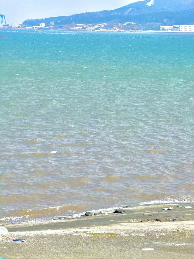 寧海vlog 大家快gogo