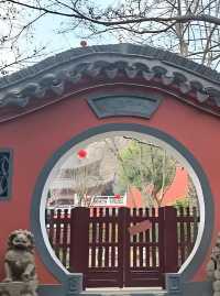 收藏好這份攻略,帶你去清涼山「梅」開眼笑