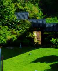 昆明寶華寺