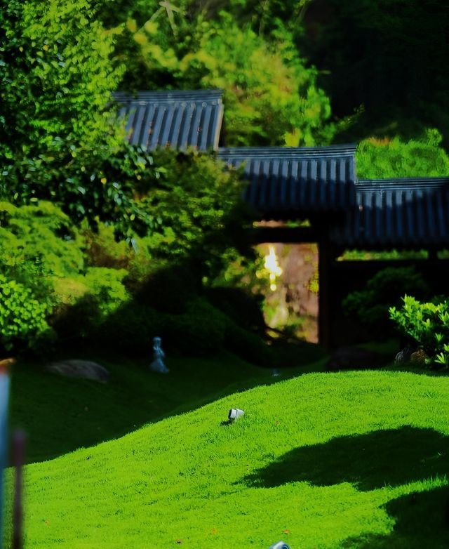 昆明寶華寺