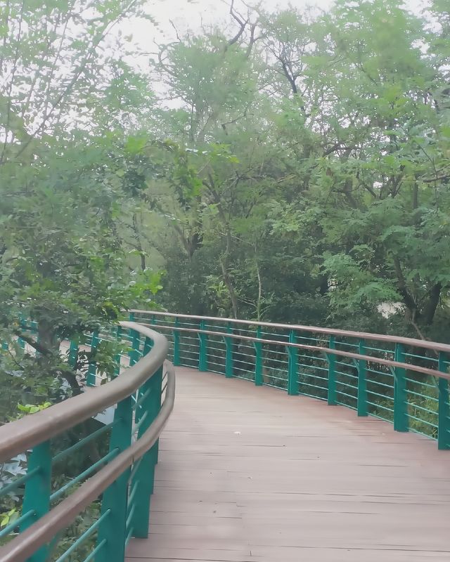 解鎖7.9公里綠道秘境，邂逅海天盛景 - 青島太平山