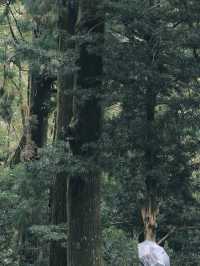 和歌山