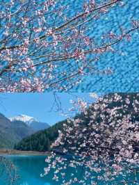 天啊，這裡不是富士山，是3月的九寨溝。