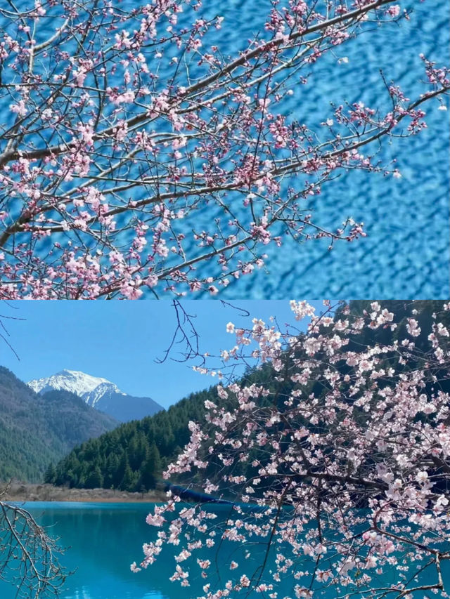 天啊，這裡不是富士山，是3月的九寨溝。
