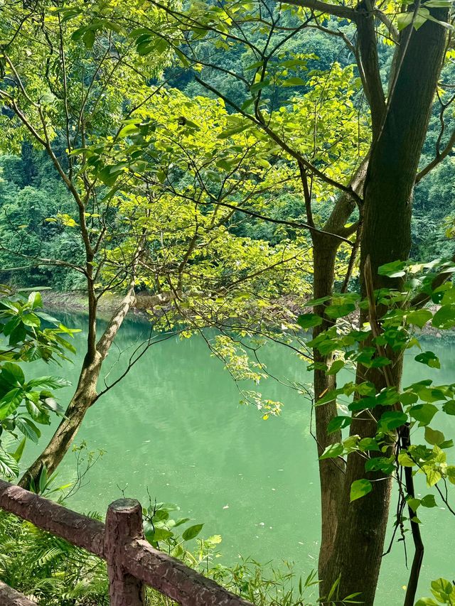 6天暢遊西雙版納-昆明-普洱超詳細攻略 玩轉雲南美景